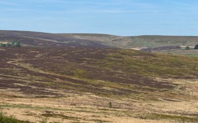 Frequently Asked Questions | Calderdale Wind Farm