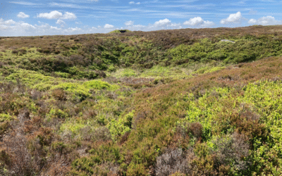 Will Calderdale Energy Park cause a repeat of the 1824 Bog Burst? 