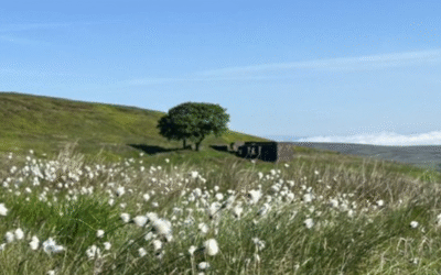 Nick MacKinnon answers the naturally hostile questions put to him by Orlando Jenkinson Windpower Monthly, bible of the wind industry since 1985. 