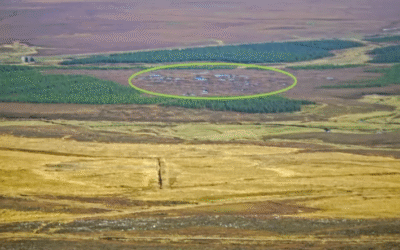 Carbon sink – conservation management at Munsary, Plantlife’s peatland nature reserve