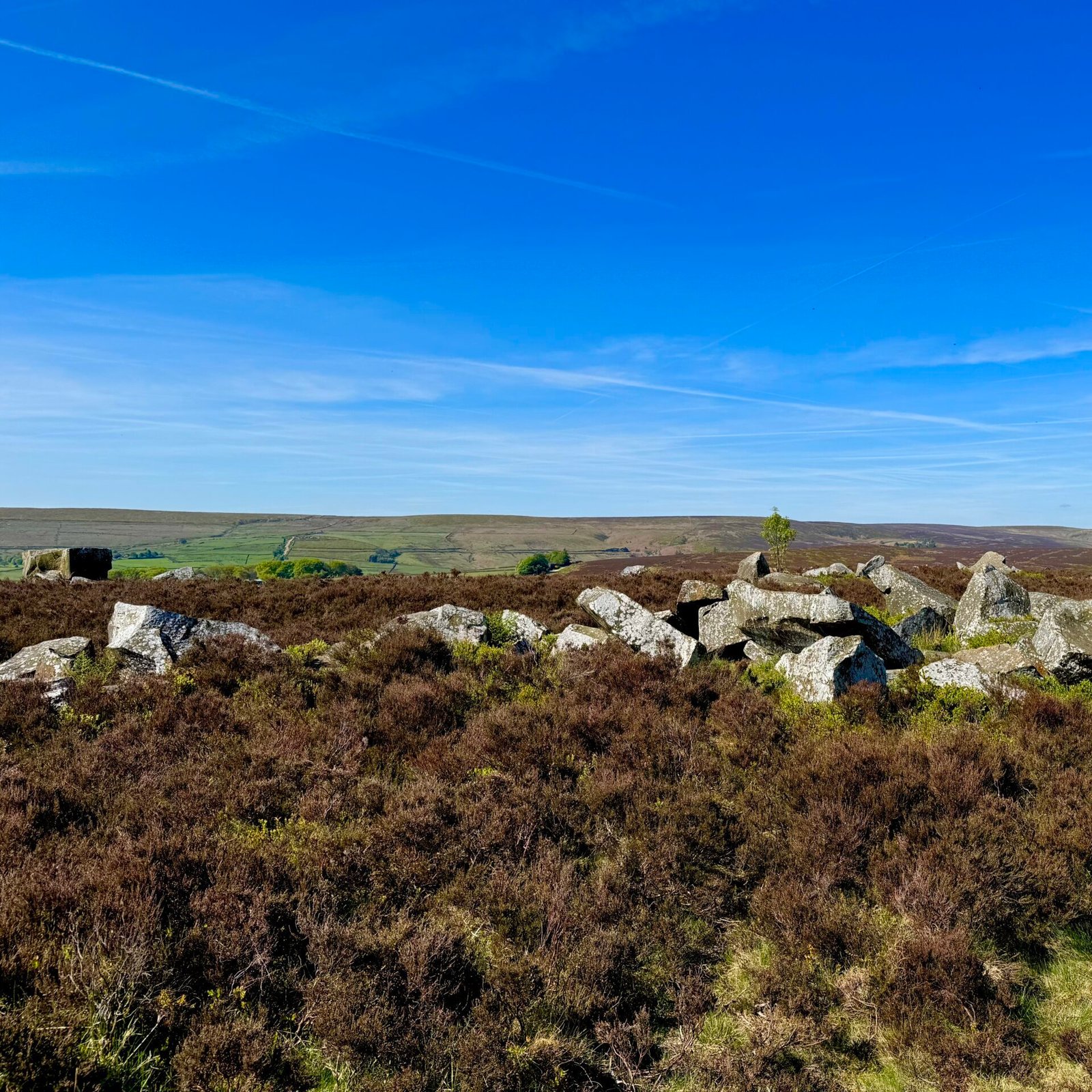 Penistone Hill Country Park By Jaiq Carter
