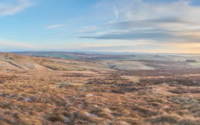 Natural England Raises Fundamental Concerns Over Calderdale Energy Park