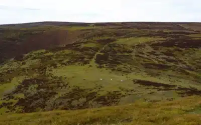 Natural England on Calderdale Energy Park: “likely to be insurmountable”