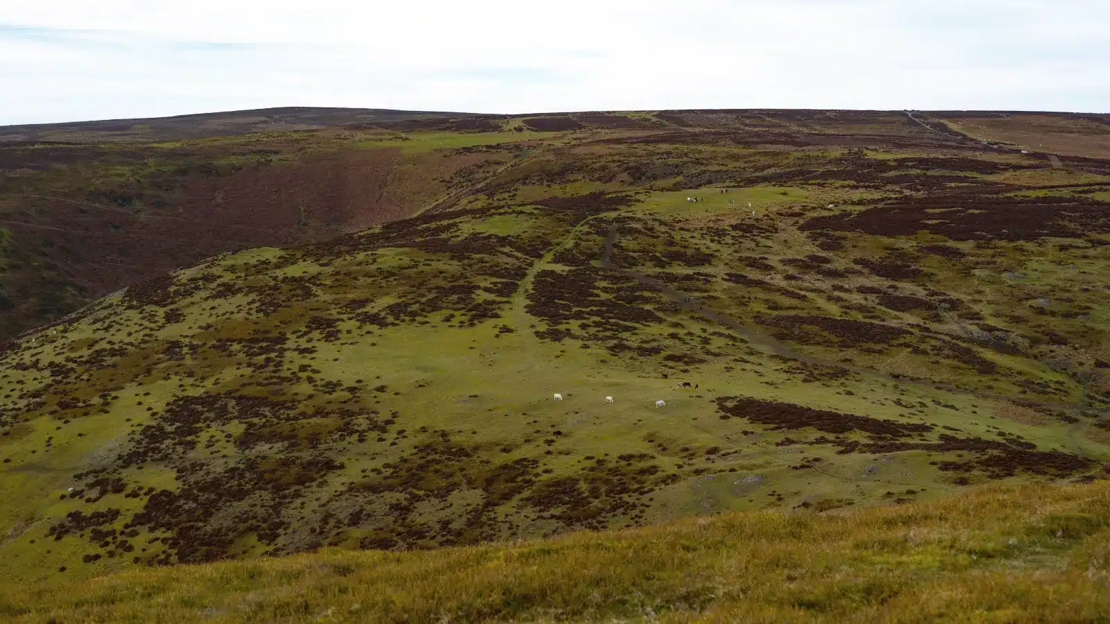 pexels-ana-tinca-264849644-15500291 Crow Hill moorland near Haworth, Yorkshire